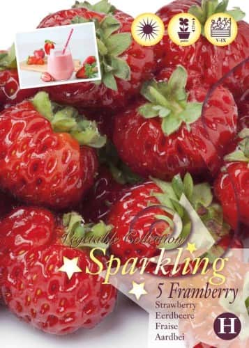 jordgubbe-framberry-barrotad-1