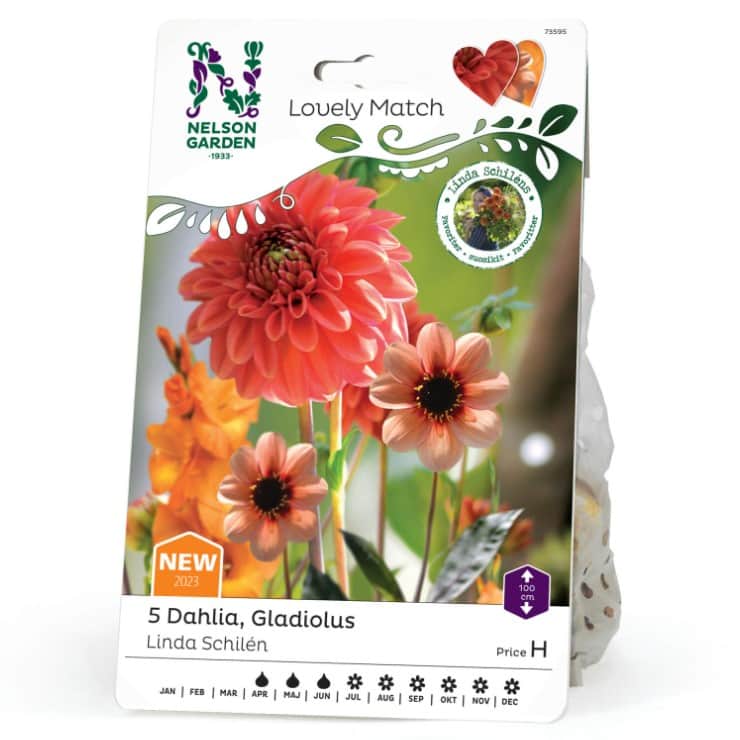 linda-schiln-mix-dahlia-gladiol-lovely-match-2