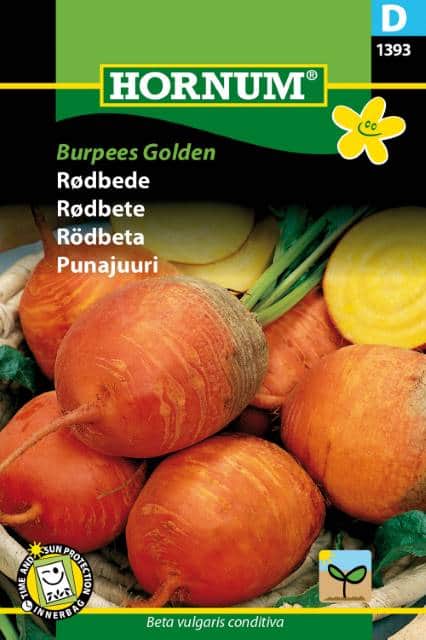 rdbeta-burpees-golden-fr-1