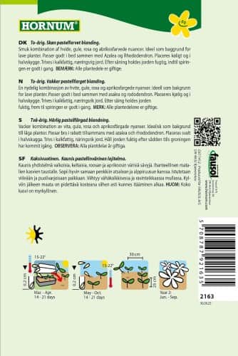 fingerborgsblomma-mix-dreamy-pastels-2