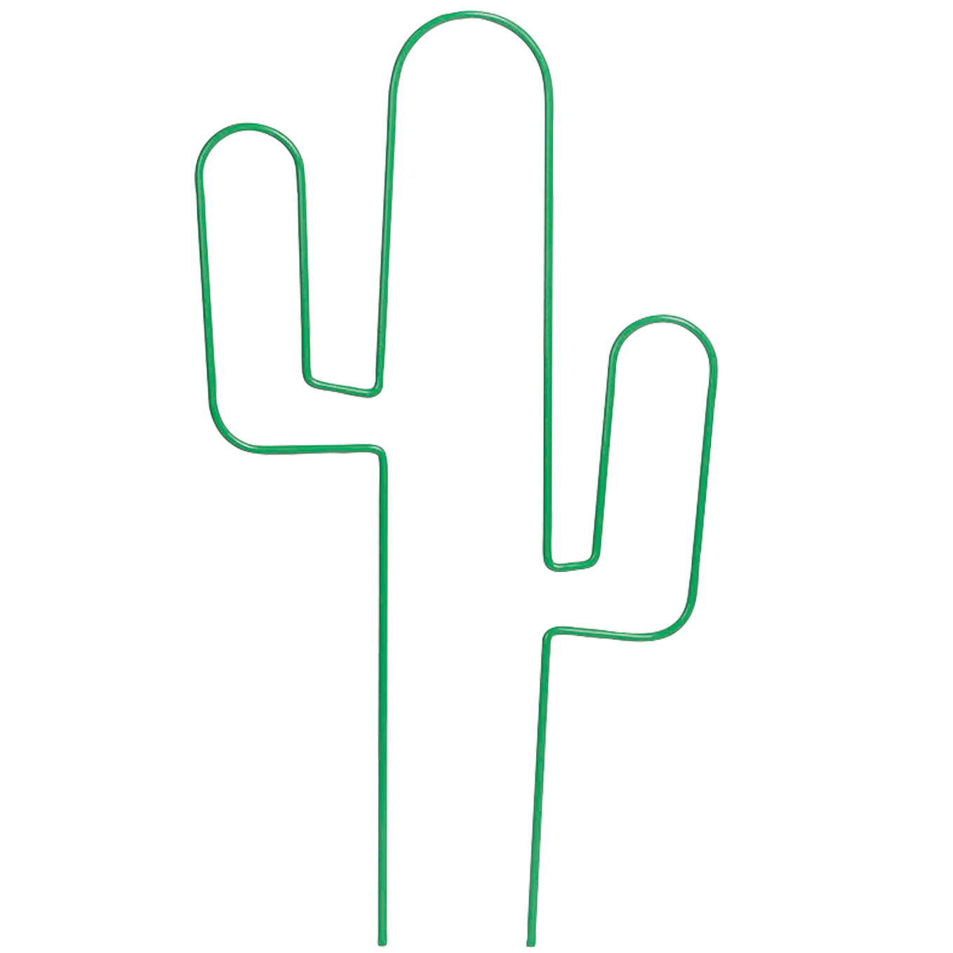 Krukspaljé Cactus