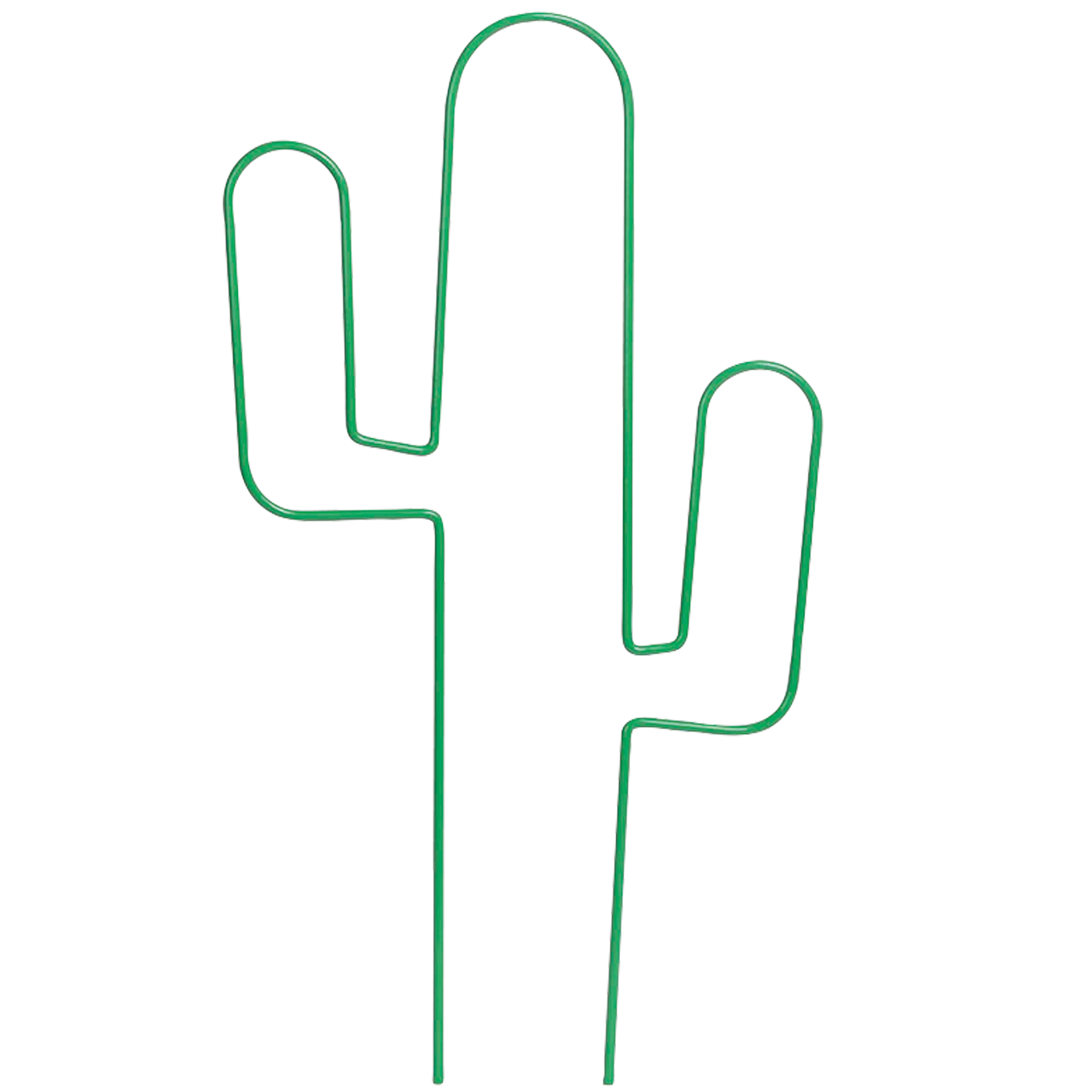 krukspalj-cactus-1