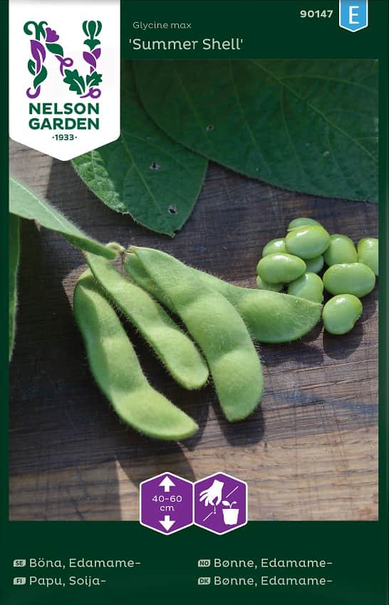 edamamebna-summer-shell-1