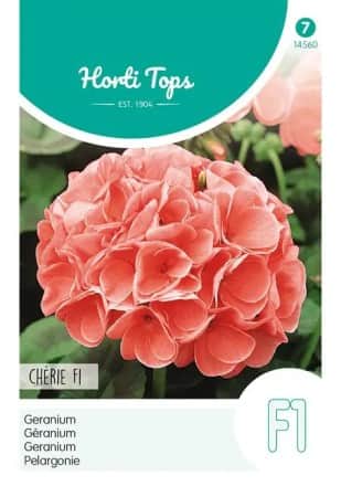 pelargon-chrie-f1-1