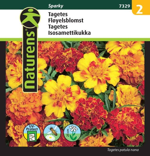 tagetes-mix-sparky-fr-1