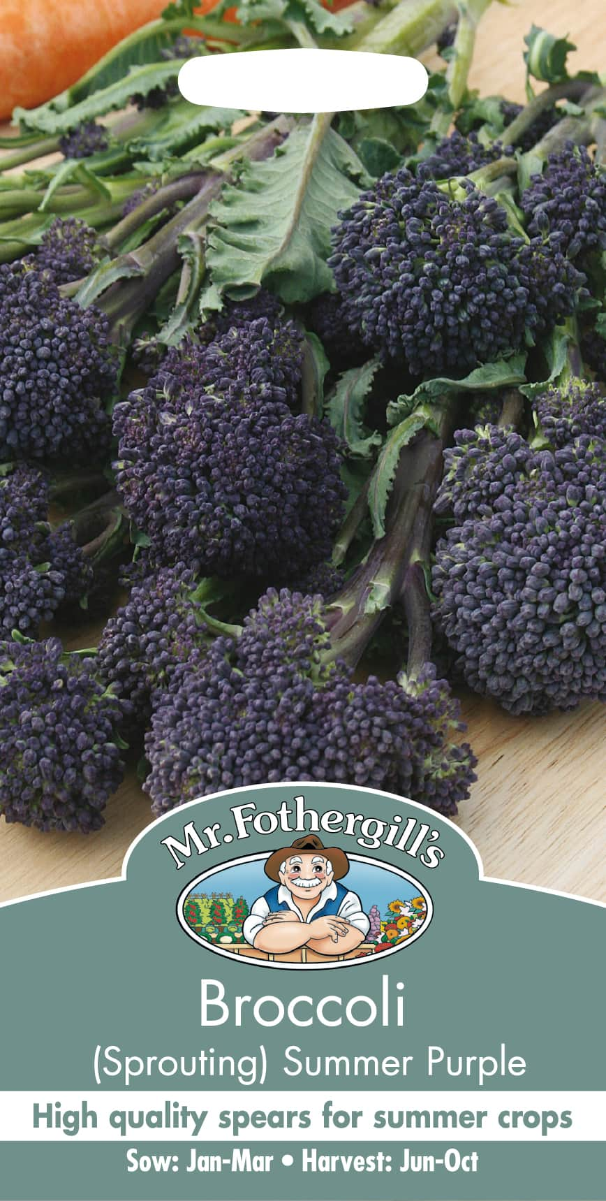 broccoli-summer-purple-1