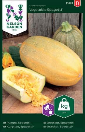 spagettipumpa-vegetable-spagetti-1