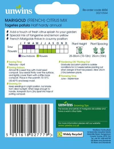 sammetsagetes-citrus-mix-2