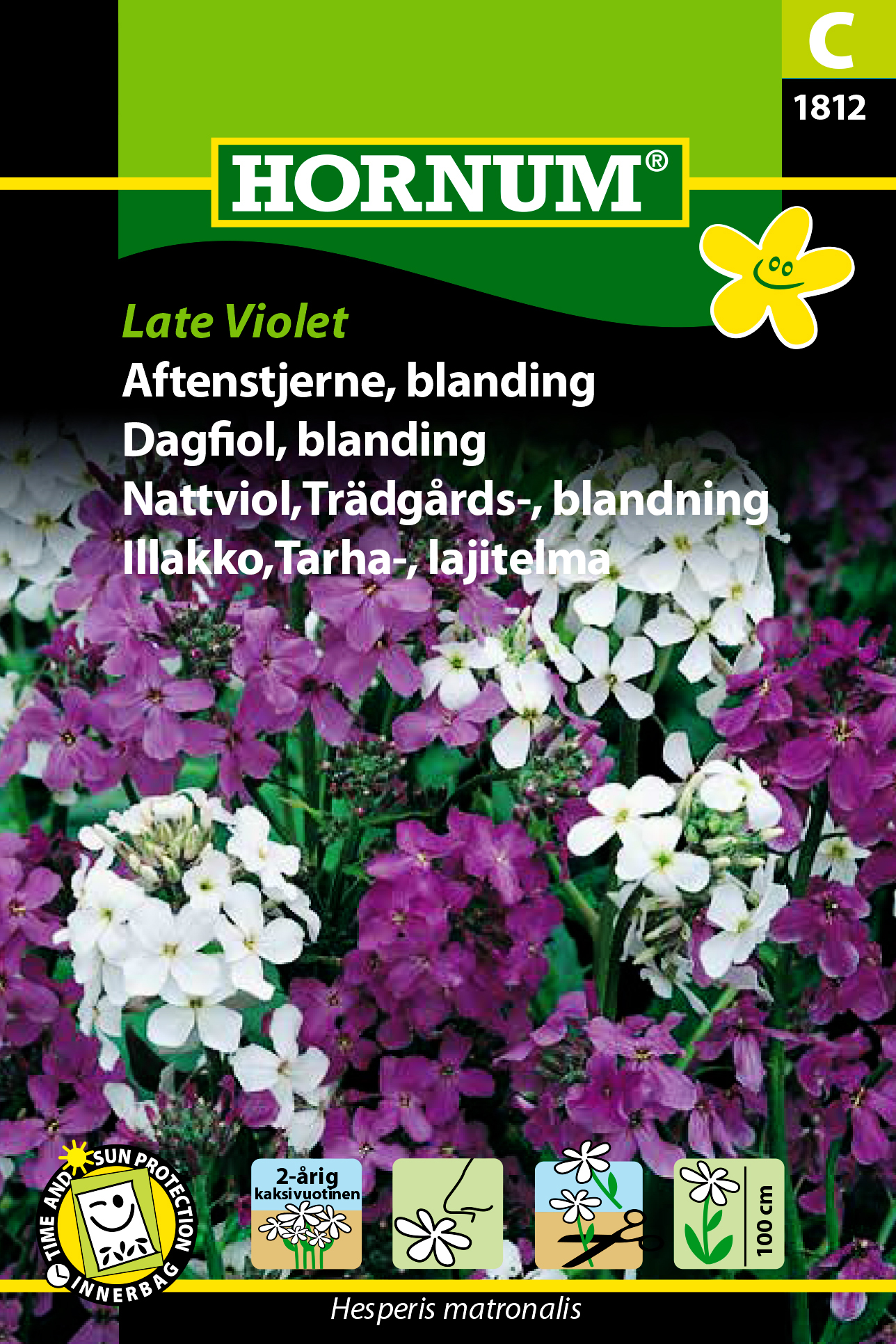 Trädgårdsnattviol ’Late Violet’ frö