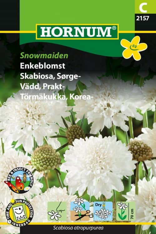 praktvdd-snowmaiden-1