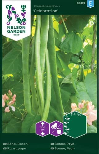 blomsterbna-celebration-1