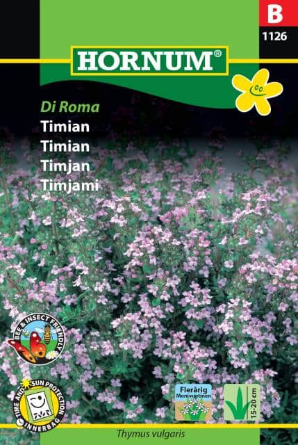 timjan-di-roma-1