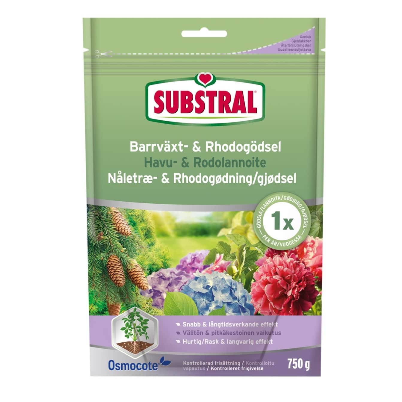 rhododendron--barrgdsel-750g-1