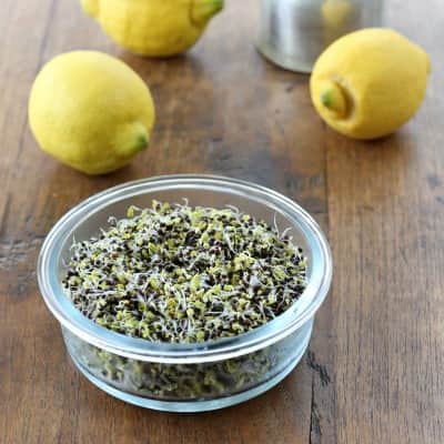 sproutly-eko-rapsfrn-160g-1