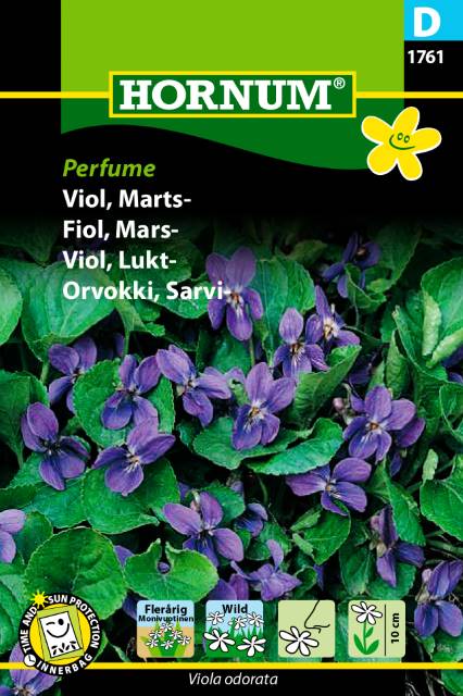 Luktviol ’Perfume’, frö