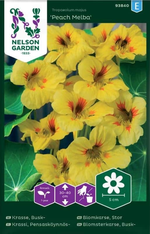 buskkrasse-peach-melba-1