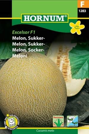 ntmelon-excelsor-f1-1