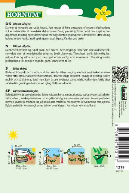 broccoli-ramoso-calabrese-f1-2