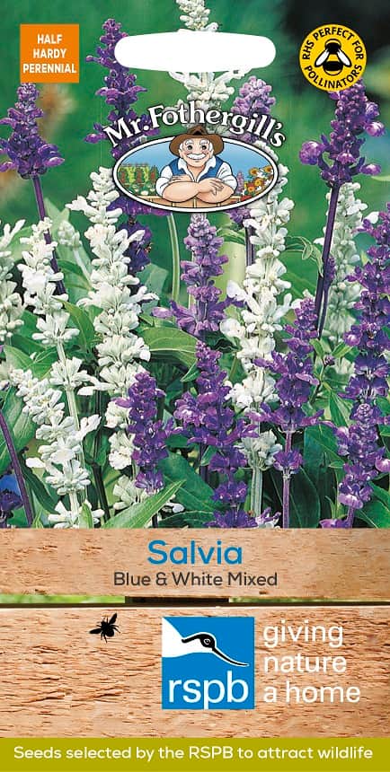 daggsalvia-blue-white-mix-fr-1