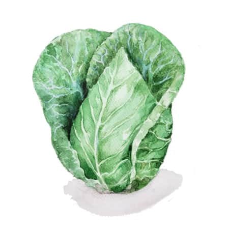 spetskl-cour-di-blue-1