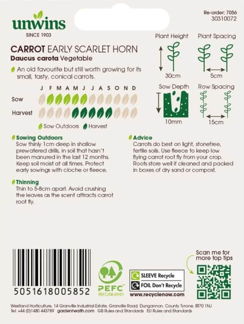 sommarmorot-early-scarlet-horn-2