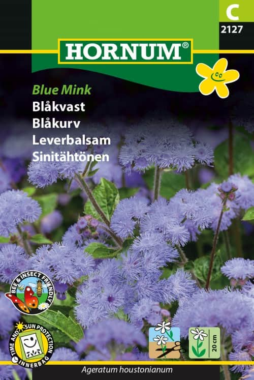 ageratum-blue-mink-1