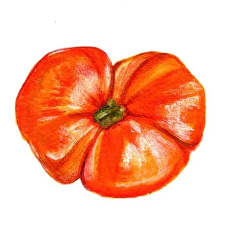 dwarftomat-cherokee-tiger-large-red-1