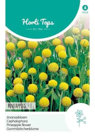 ppelsolbrud-pineapples-1