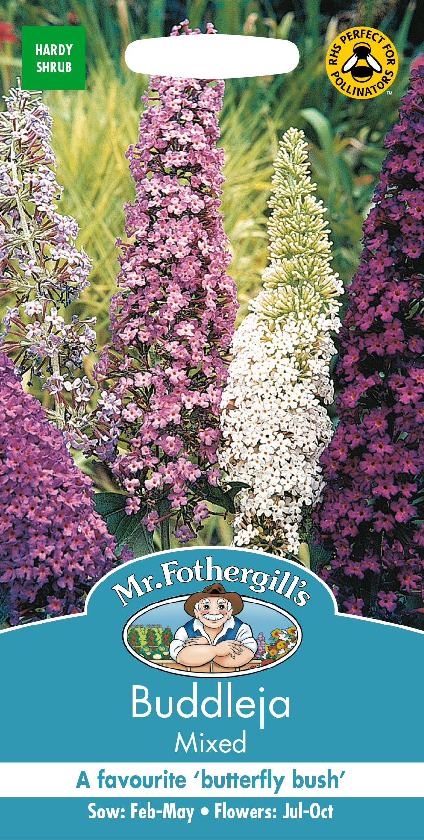 Syrenbuddleja mix, frö