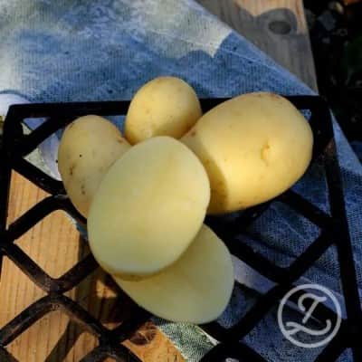 rets-potatis-2026-queen-anne-1kg-1
