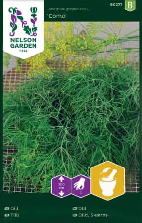 dill-como-1
