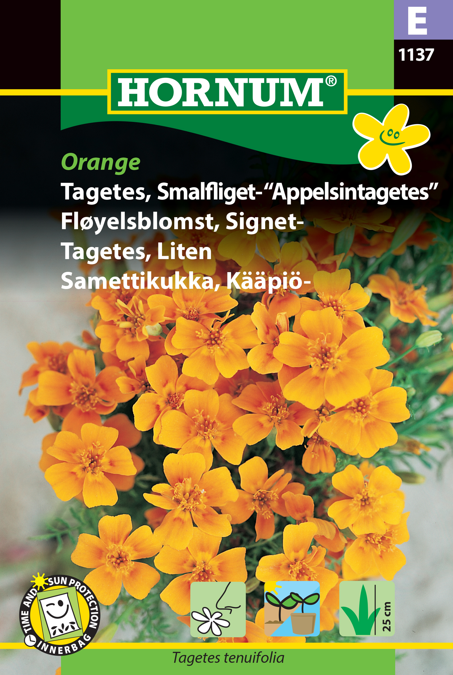 Tagetes (Liten) ’Orange’ frö