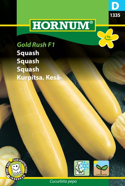 Squash ’Gold Rush’ F1 frö