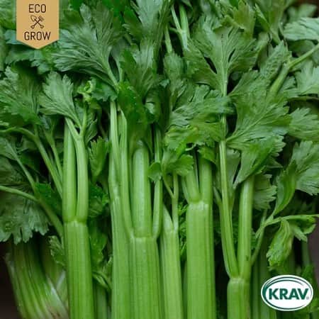 blekselleri-tall-utah-krav-mrkt-1