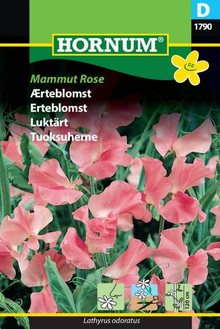 luktrt-mammut-rose-1