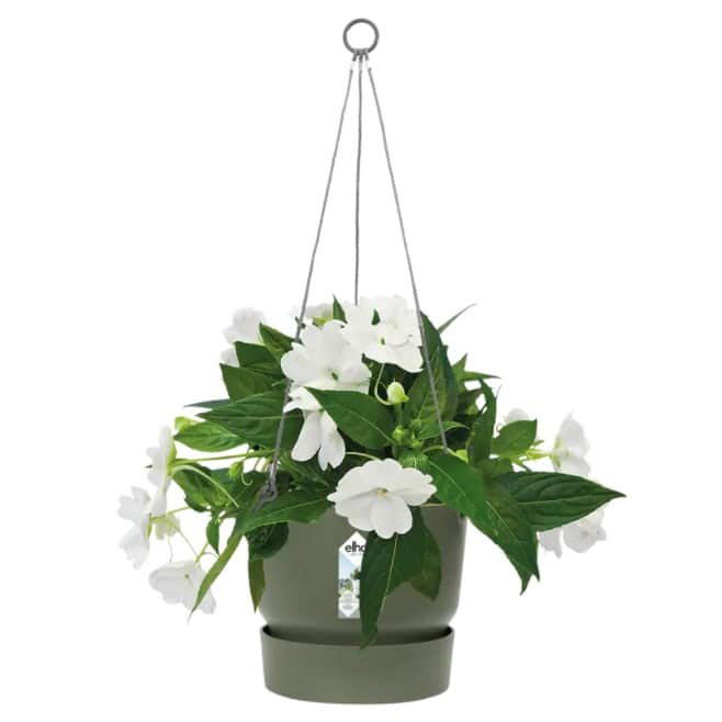 greenville-hanging-basket-24cm---leaf-green-3