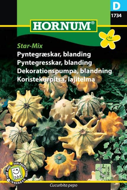 dekorationspumpa-mix-star-1