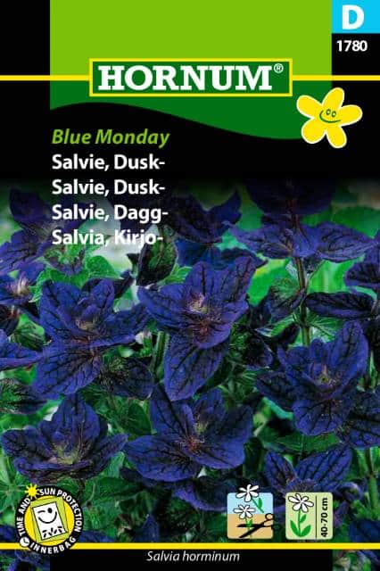 broksalvia-blue-monday-fr-1