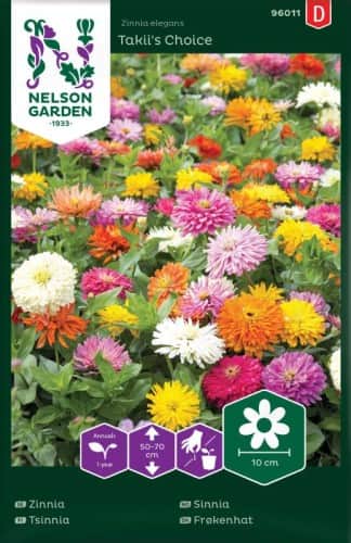 zinnia-takiis-choice-1
