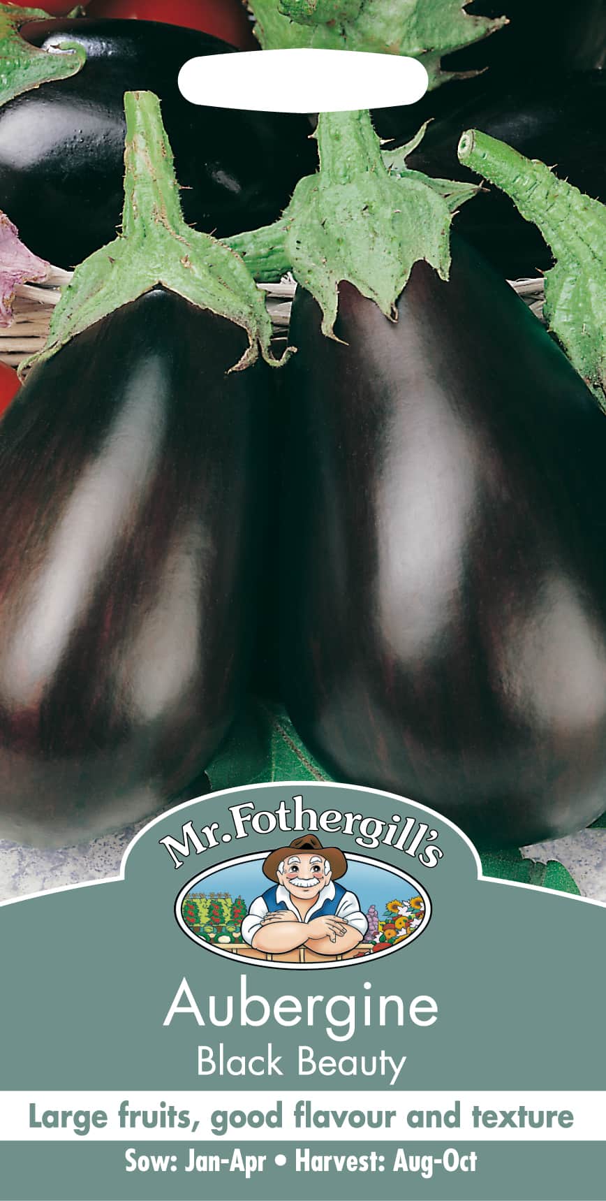 aubergine-black-beauty-1