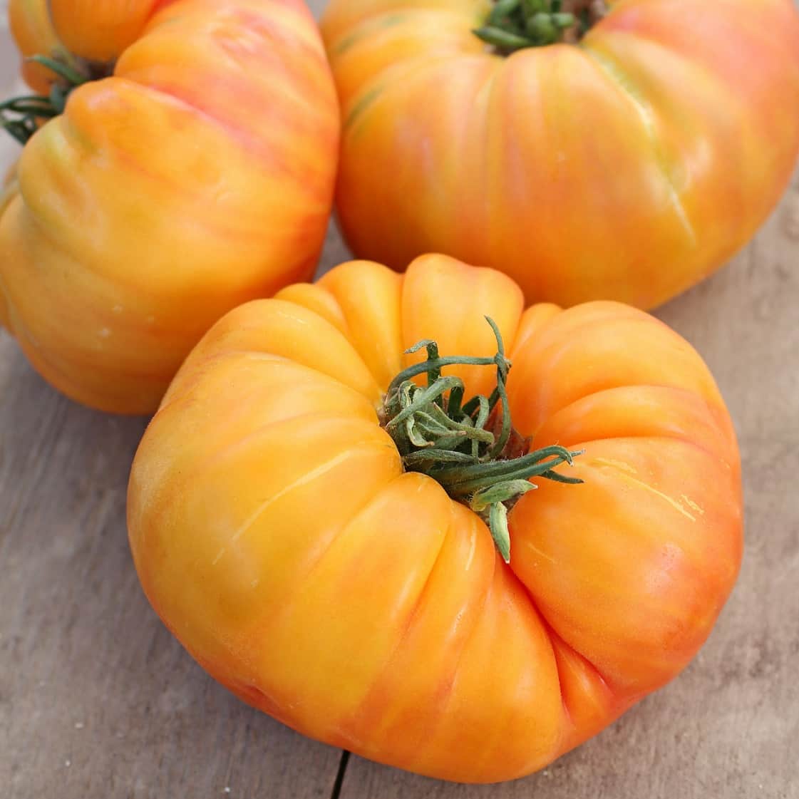 bifftomat-ananas-105cm-kruka-1