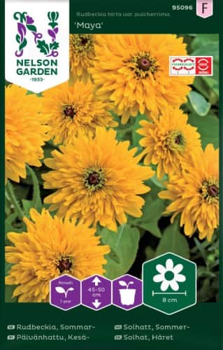 sommarrudbeckia-maya-1