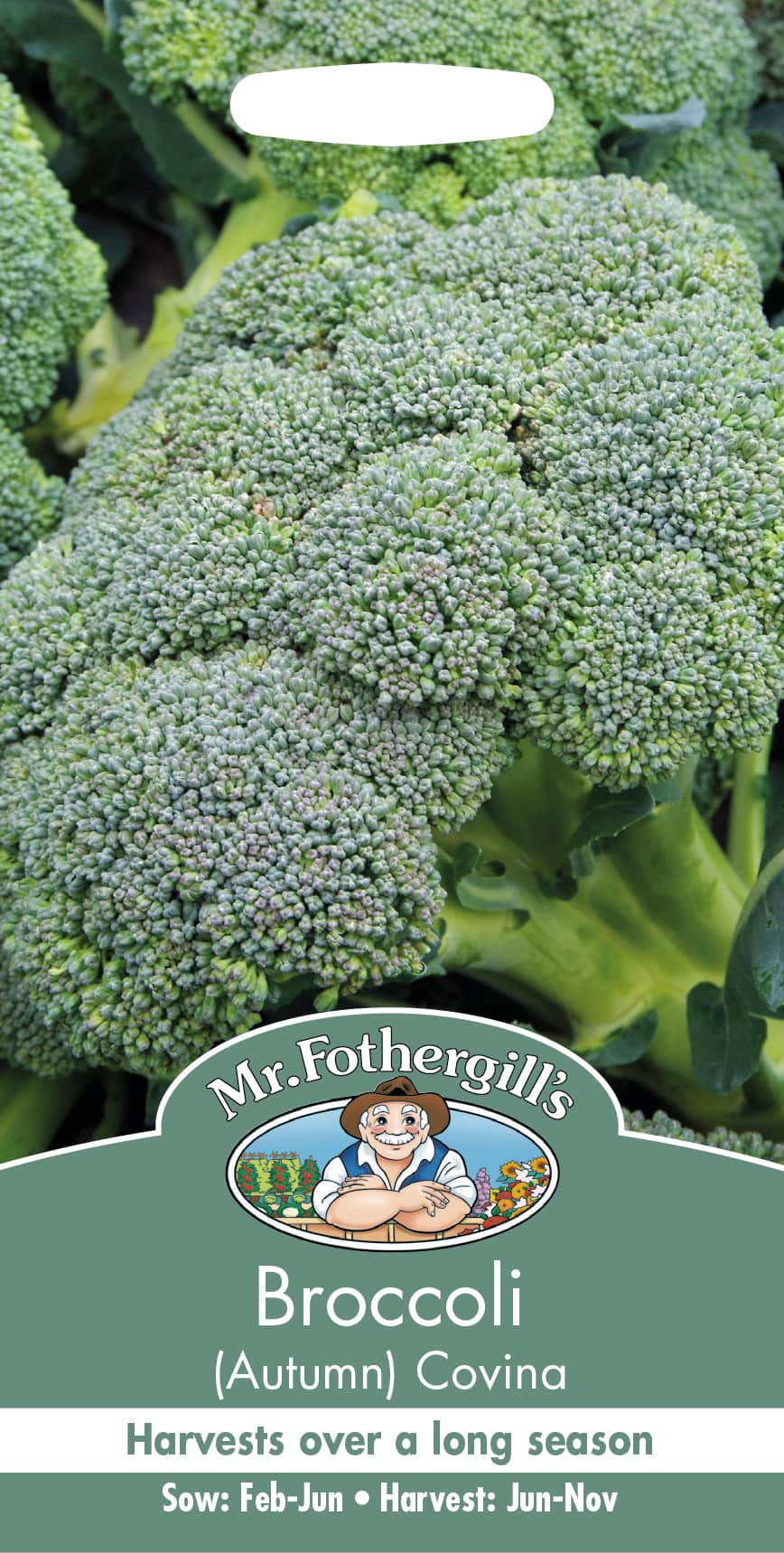 broccoli-hst-covina-1