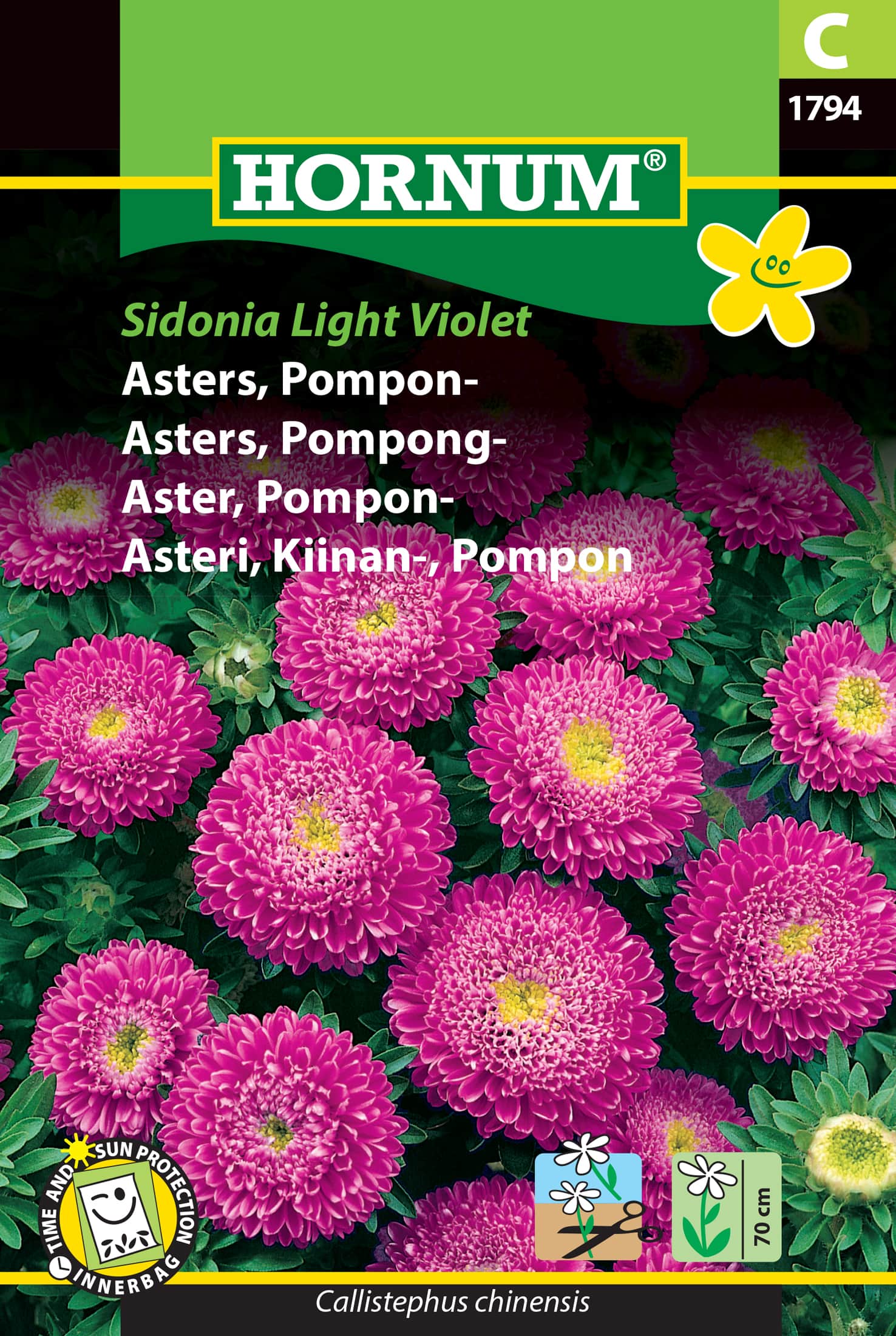 pomponaster-light-violet-fr-1