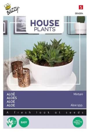 inomhusvxt-aloe-mix-1