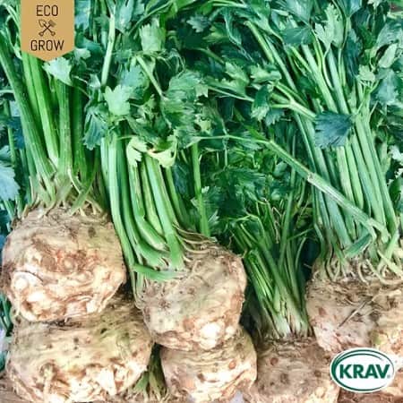 rotselleri-roem-van-zwijndrecht-krav-mrkt-1