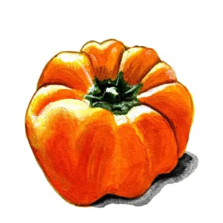 paprika-cubo-orange-1