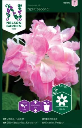 kejsarvinda-split-second-1