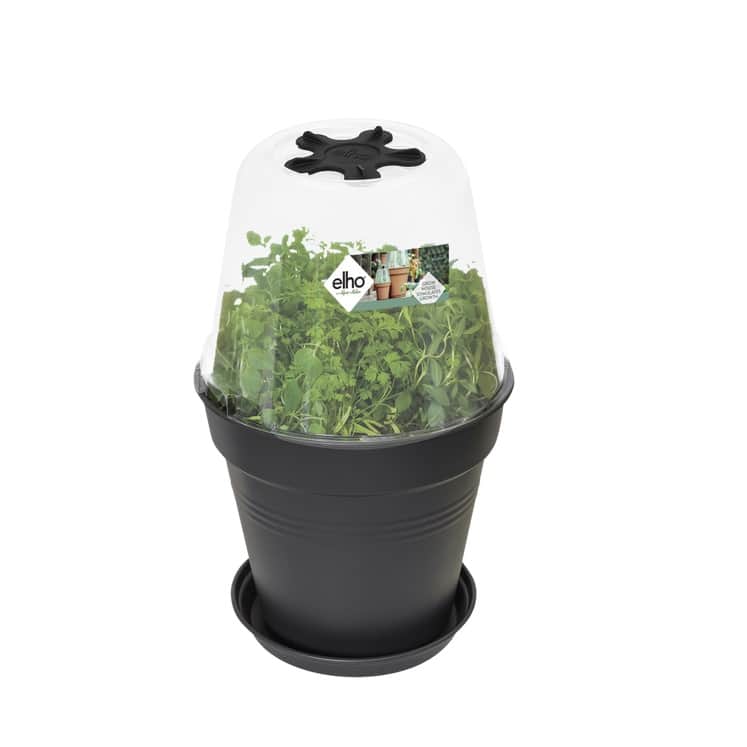 green-basics-grow-house-round-30cm-2