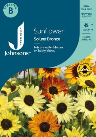 miniatyrsolros-soluna-bronze-mix-1